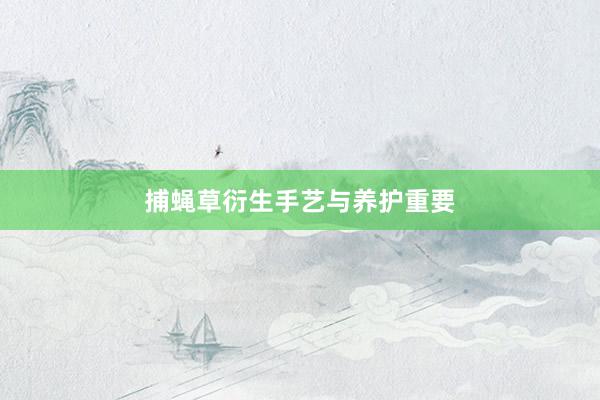 捕蝇草衍生手艺与养护重要